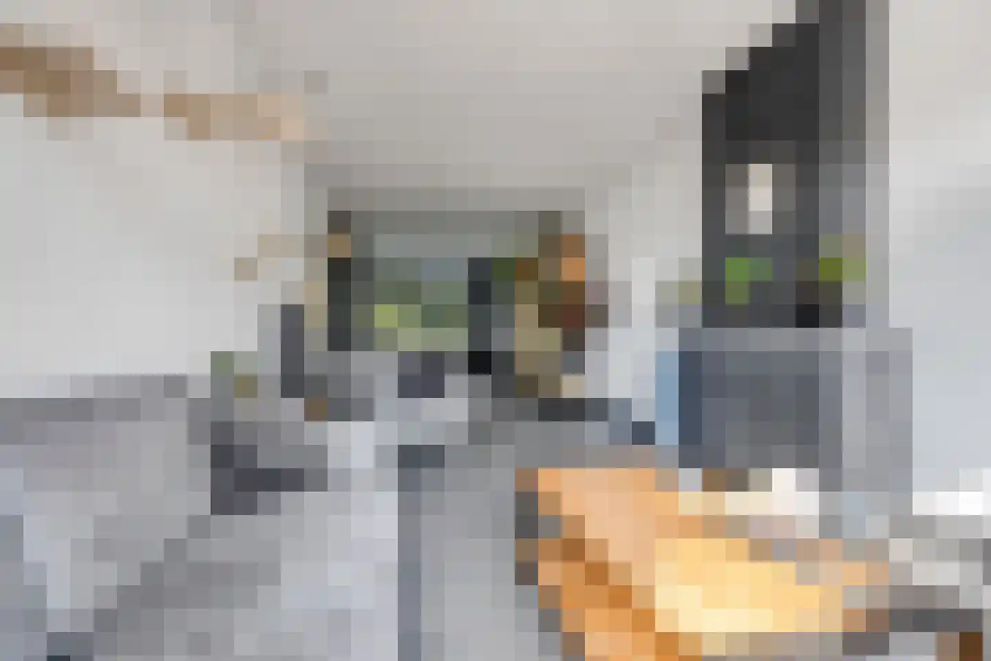 Drijfriemstraat 3 B Den Haag thumbnail 10