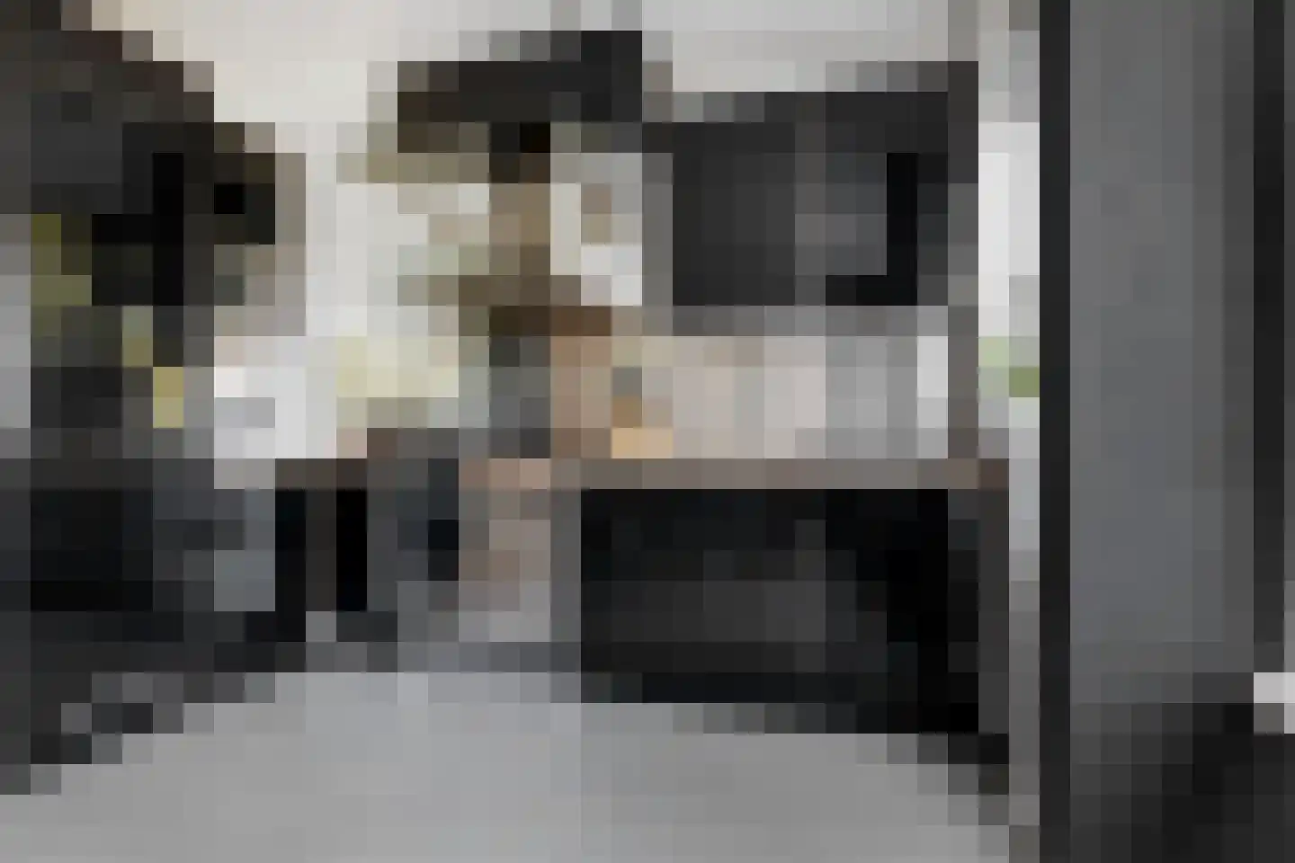 Drijfriemstraat 3 B Den Haag thumbnail 14