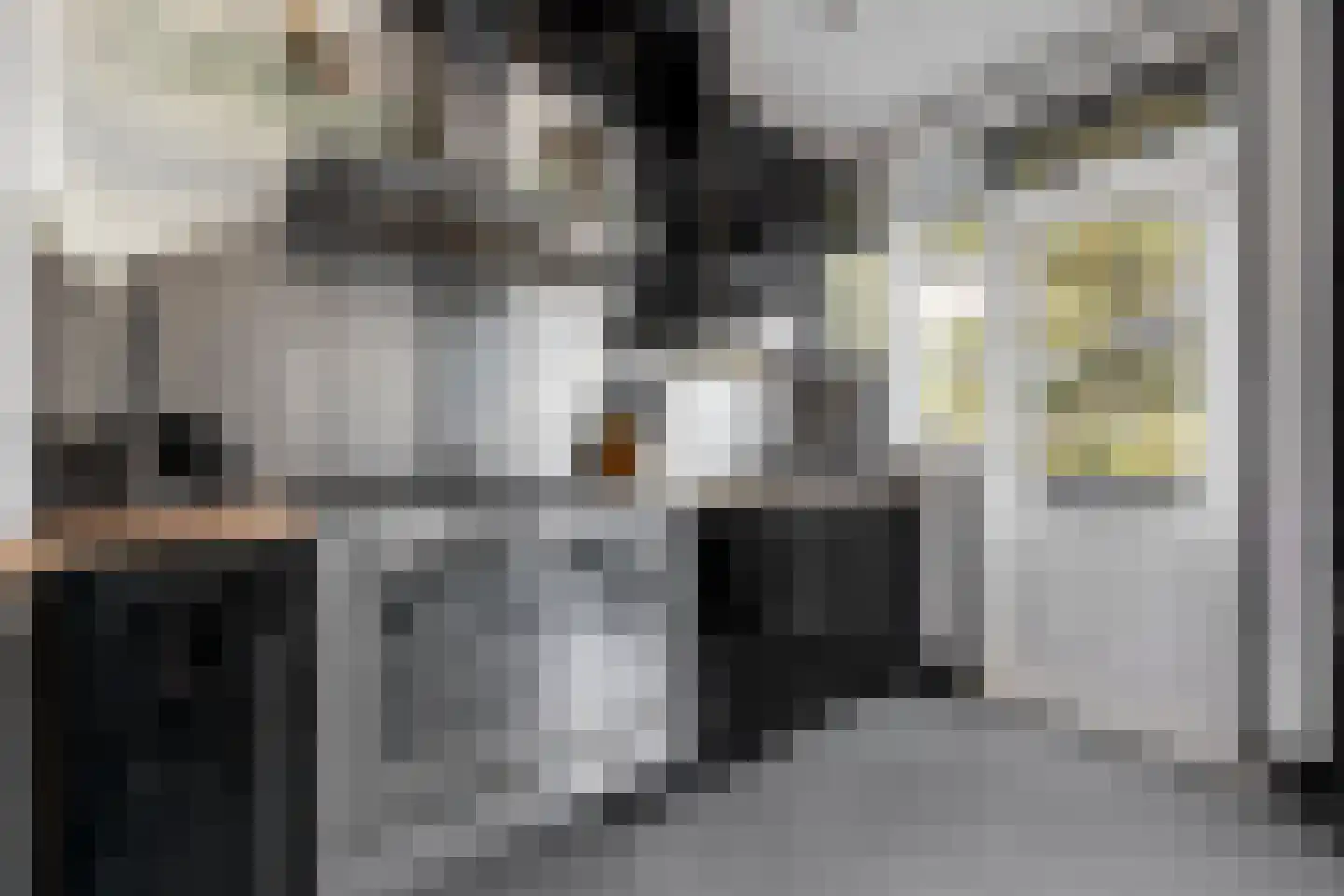 Drijfriemstraat 3 B Den Haag thumbnail 16