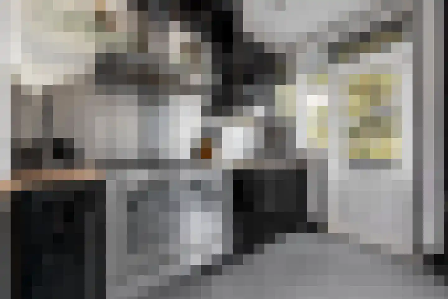 Drijfriemstraat 3 B Den Haag thumbnail 16