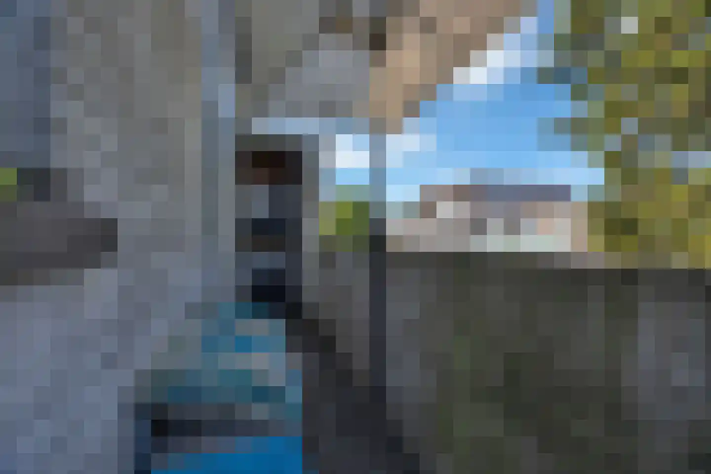 Drijfriemstraat 3 B Den Haag thumbnail 19