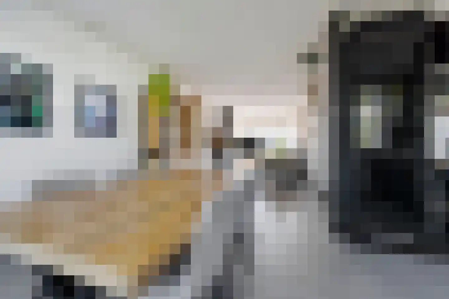 Drijfriemstraat 3 B Den Haag thumbnail 20