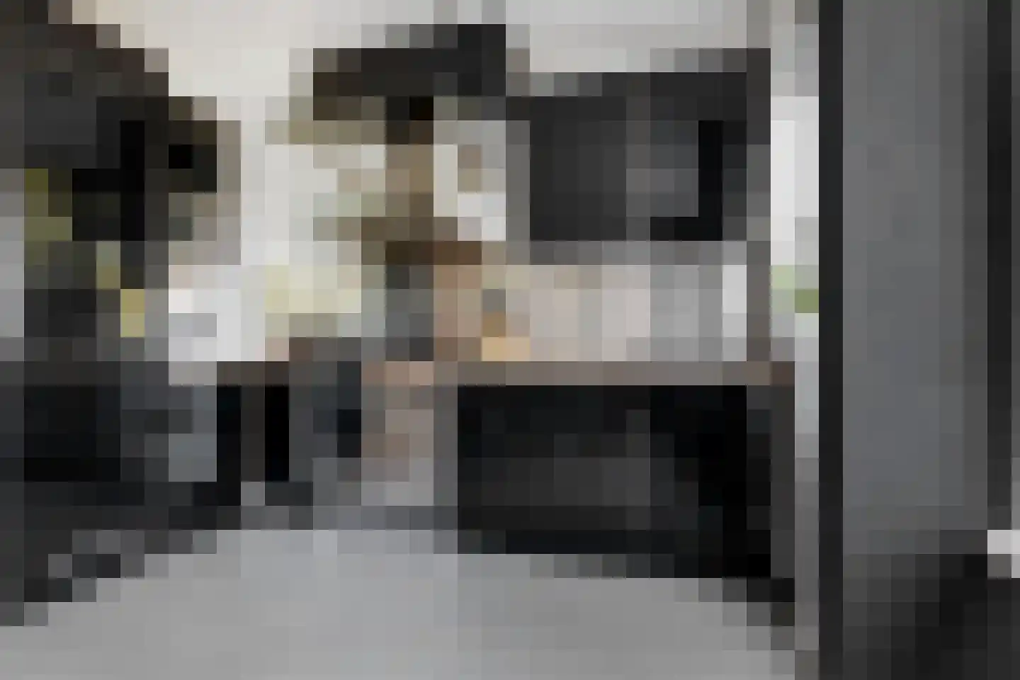Drijfriemstraat 3 B Den Haag thumbnail 4