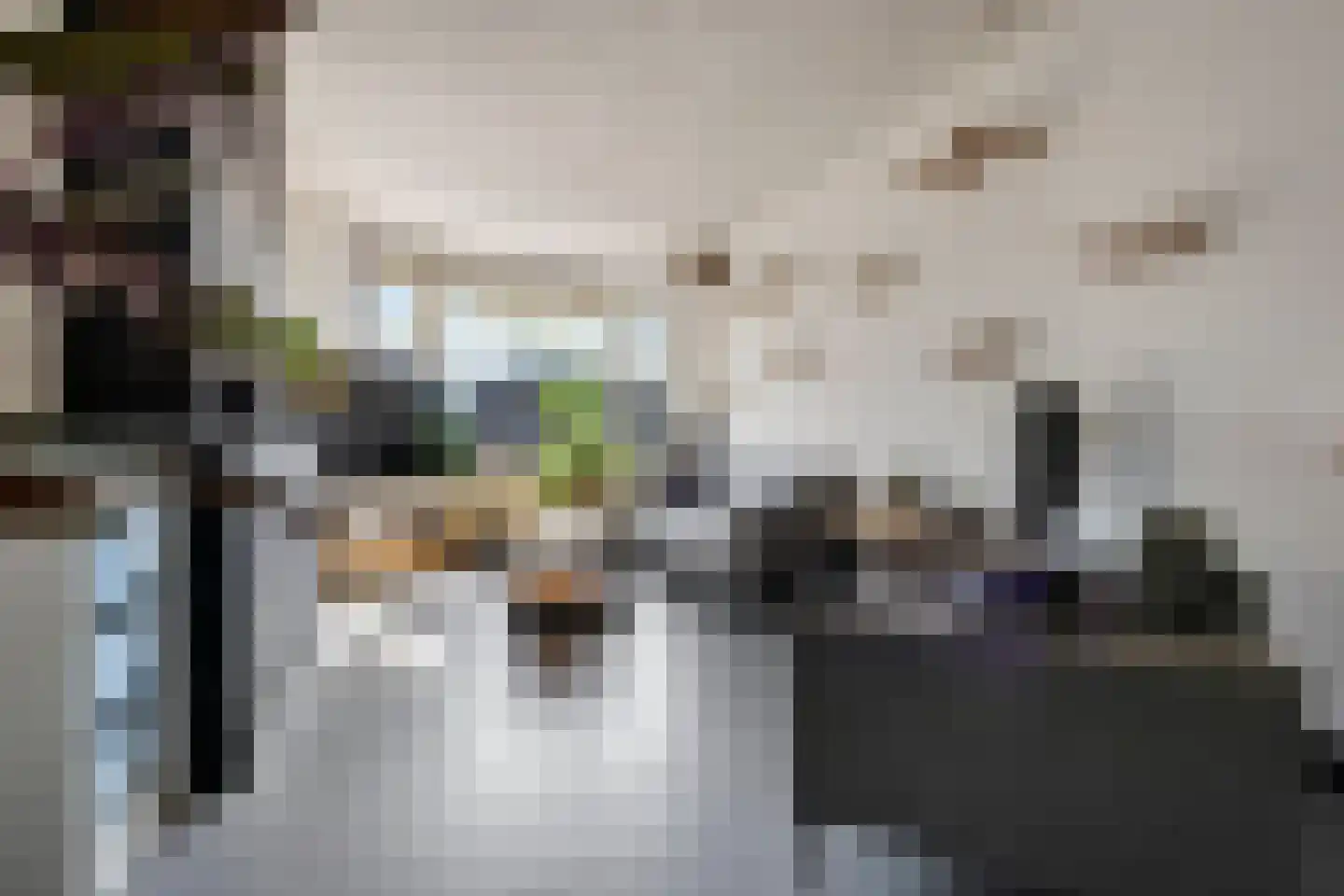 Drijfriemstraat 3 B Den Haag thumbnail 8