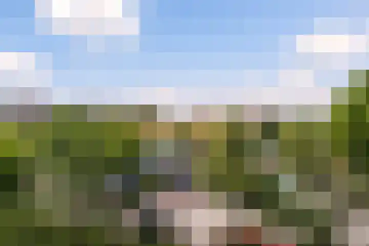 Drijver 89 Maassluis thumbnail 28