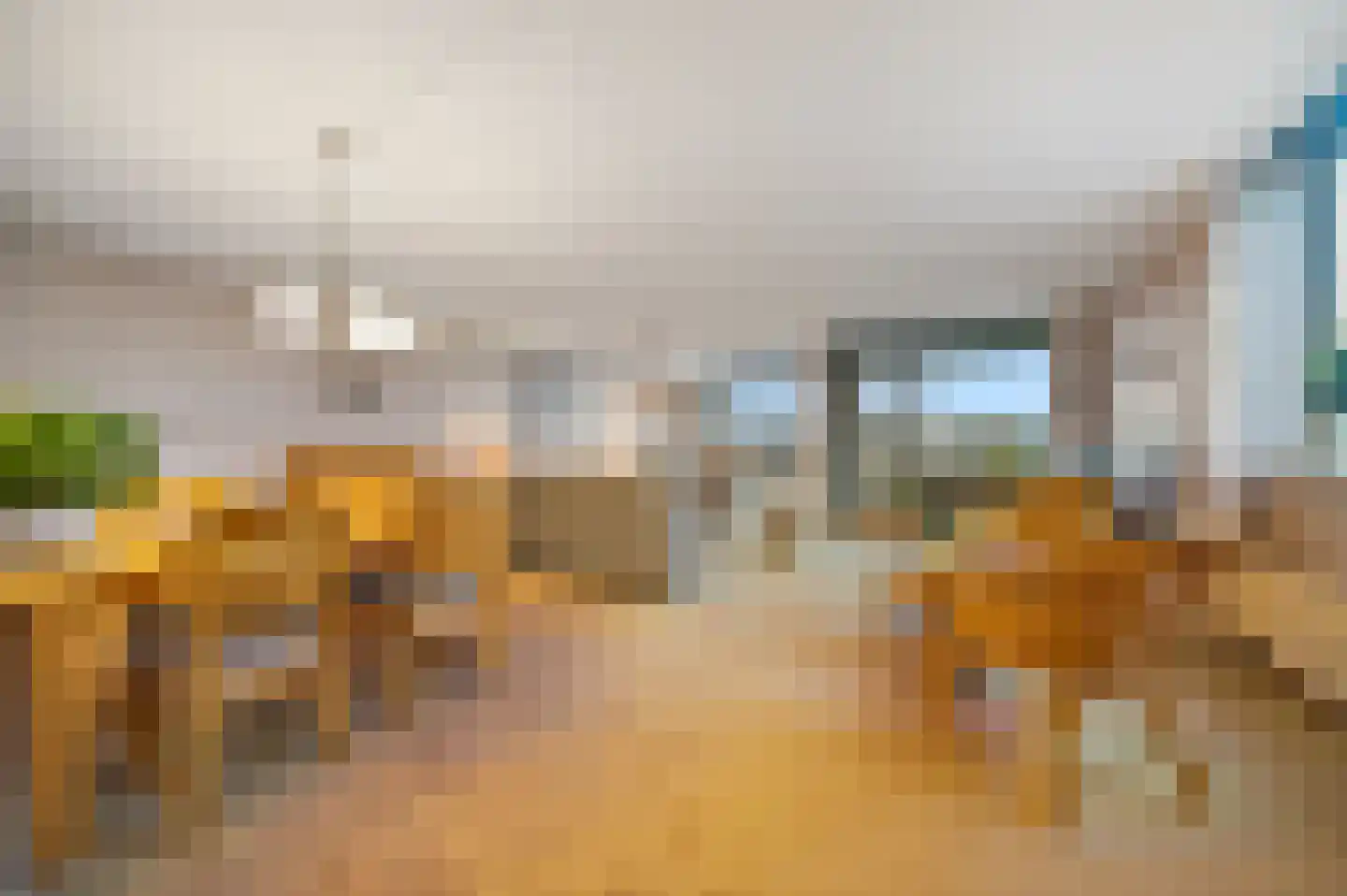 Drijver 91 Maassluis thumbnail 11