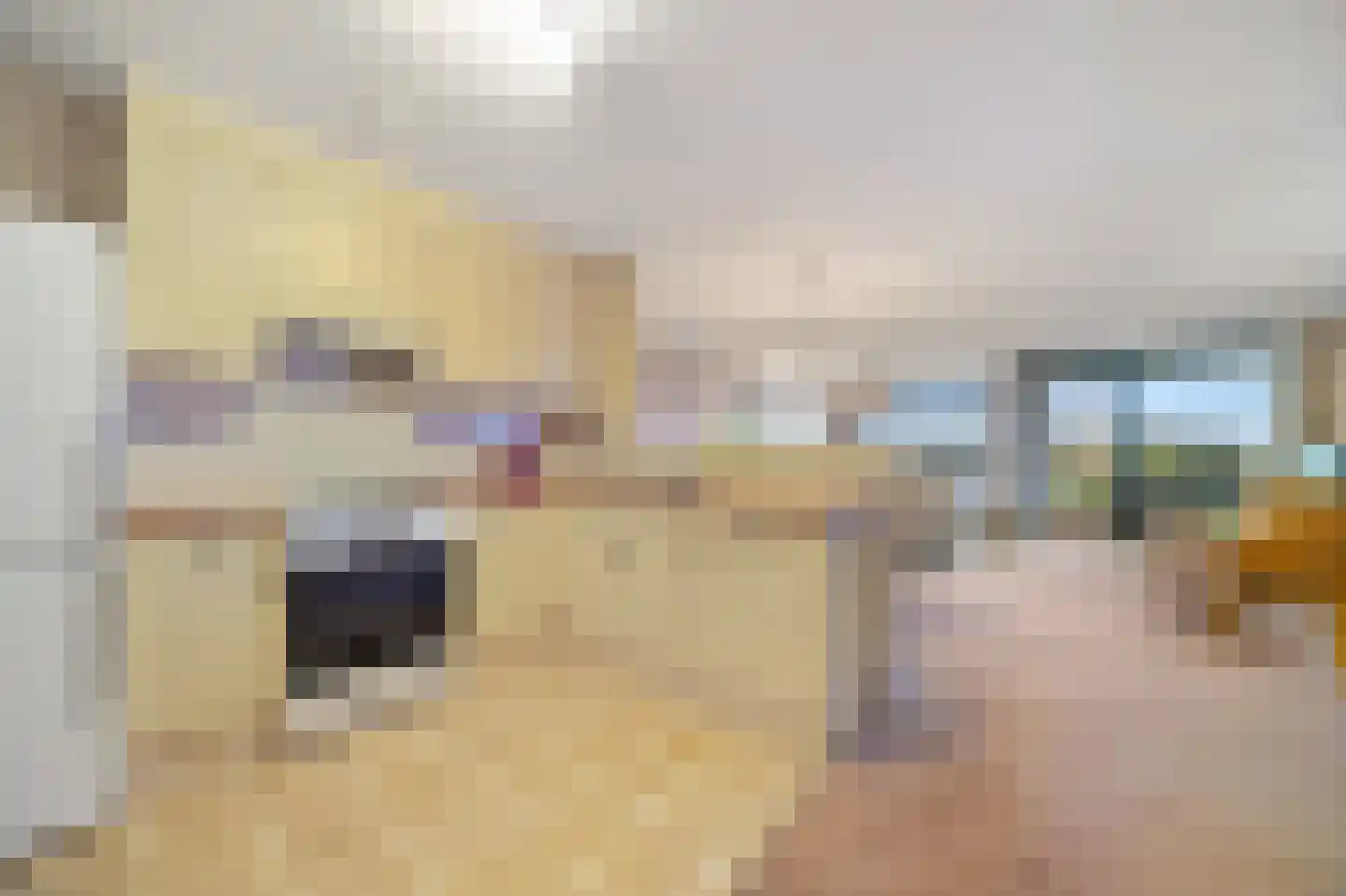 Drijver 91 Maassluis thumbnail 21