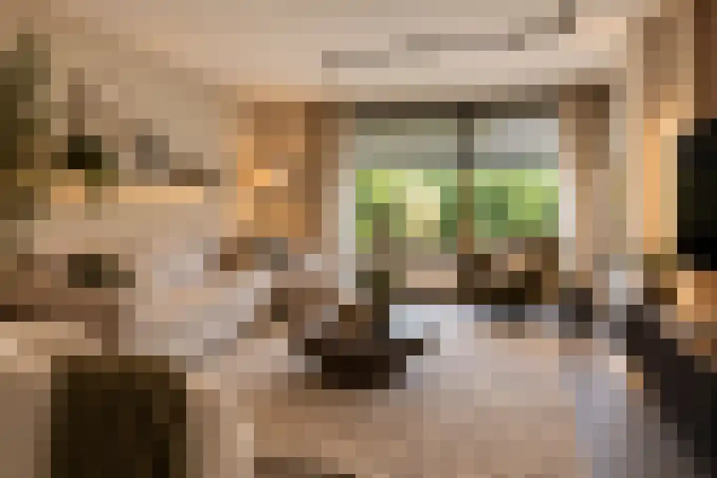 Drijvermast 7 Krimpen aan den IJssel thumbnail 4