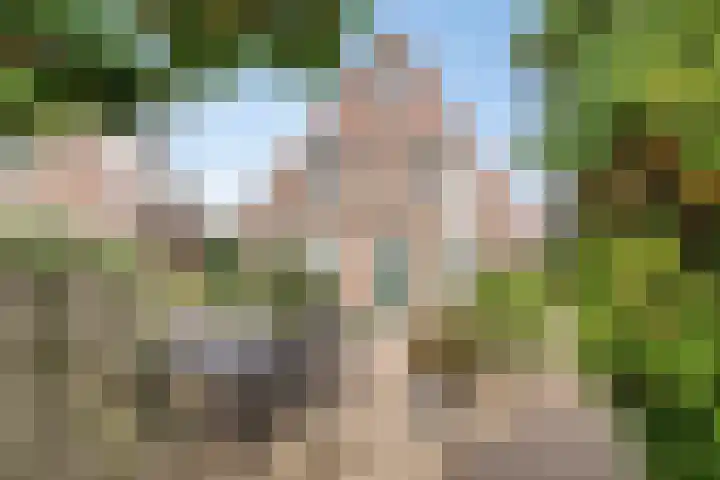 Drijverschuit 39 Hardinxveld-Giessendam thumbnail 31