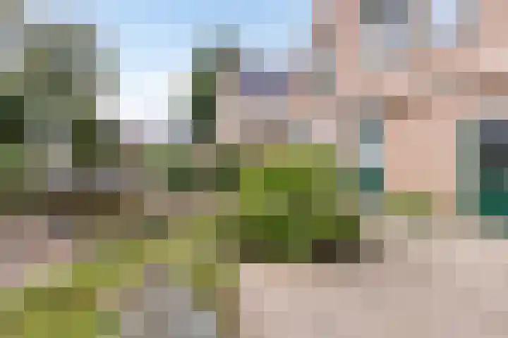 Drijverschuit 39 Hardinxveld-Giessendam thumbnail 32