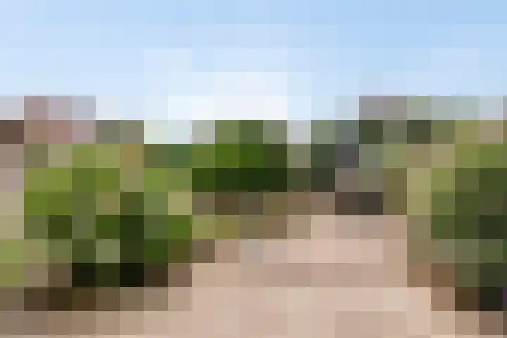 Drijverschuit 39 Hardinxveld-Giessendam thumbnail 34