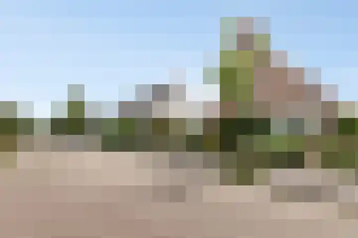 Drijverschuit 39 Hardinxveld-Giessendam thumbnail 38