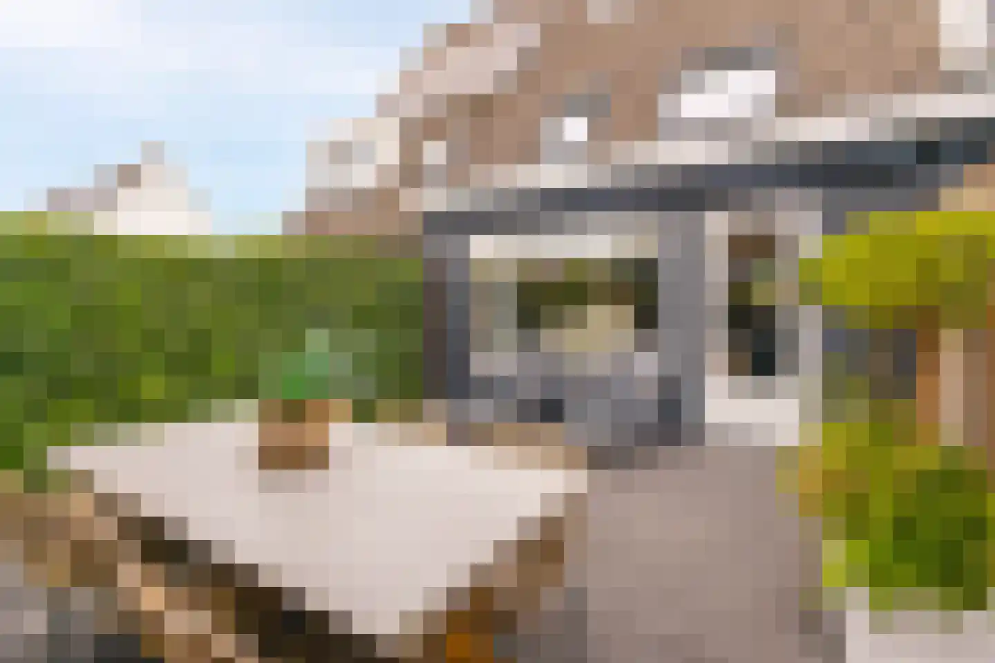 Drijverschuit 51 Hardinxveld-Giessendam thumbnail 28