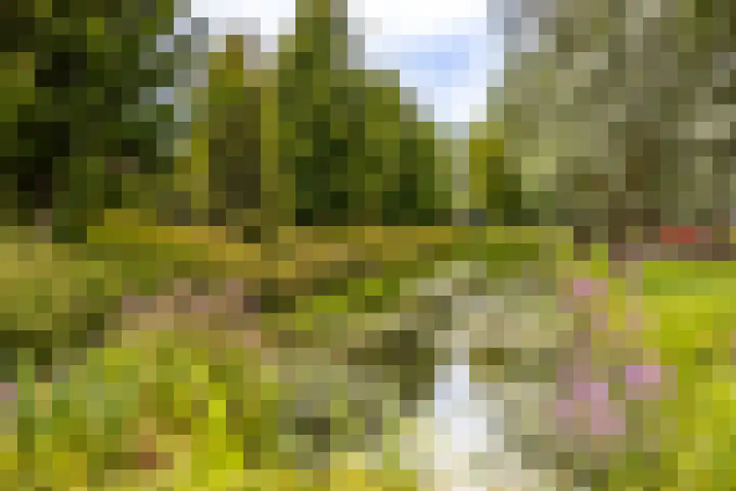 Drijverschuit 51 Hardinxveld-Giessendam thumbnail 32