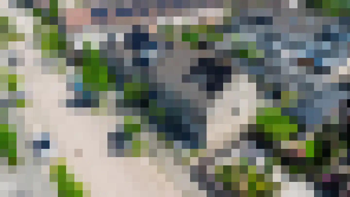 Drijverschuit 9 Hardinxveld-Giessendam thumbnail 27