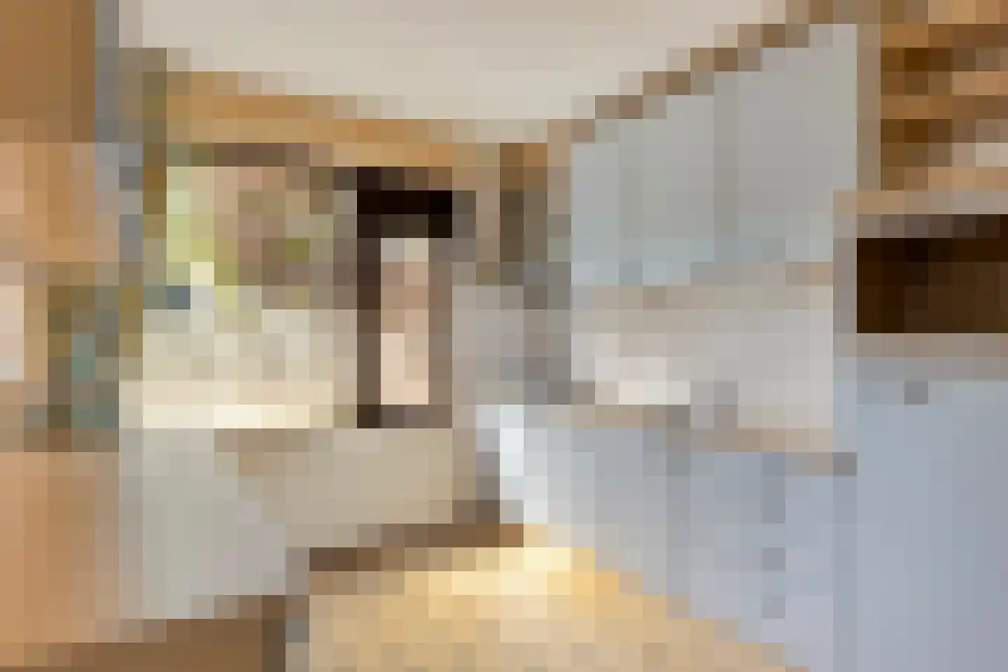 Drijvershof 32 Oss thumbnail 11
