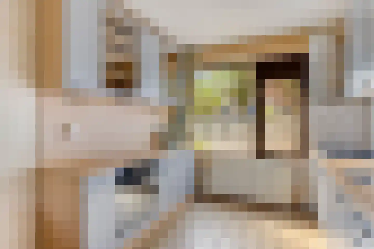 Drijvershof 32 Oss thumbnail 12
