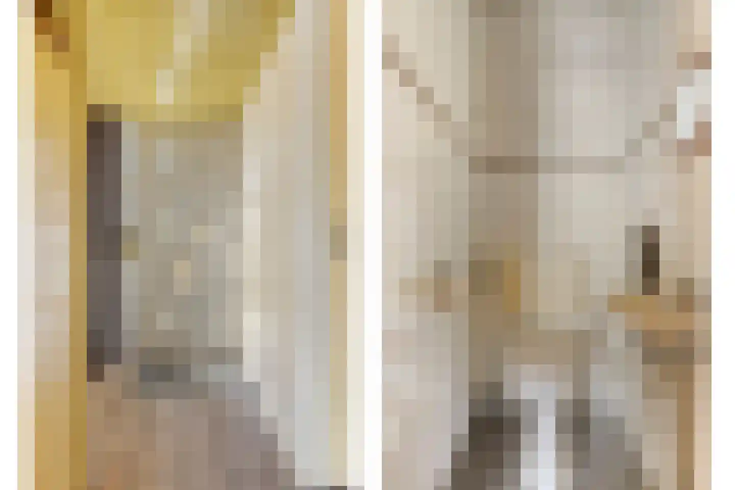 Drijvershof 32 Oss thumbnail 14