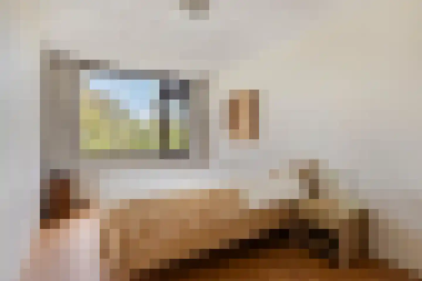 Drijvershof 32 Oss thumbnail 16