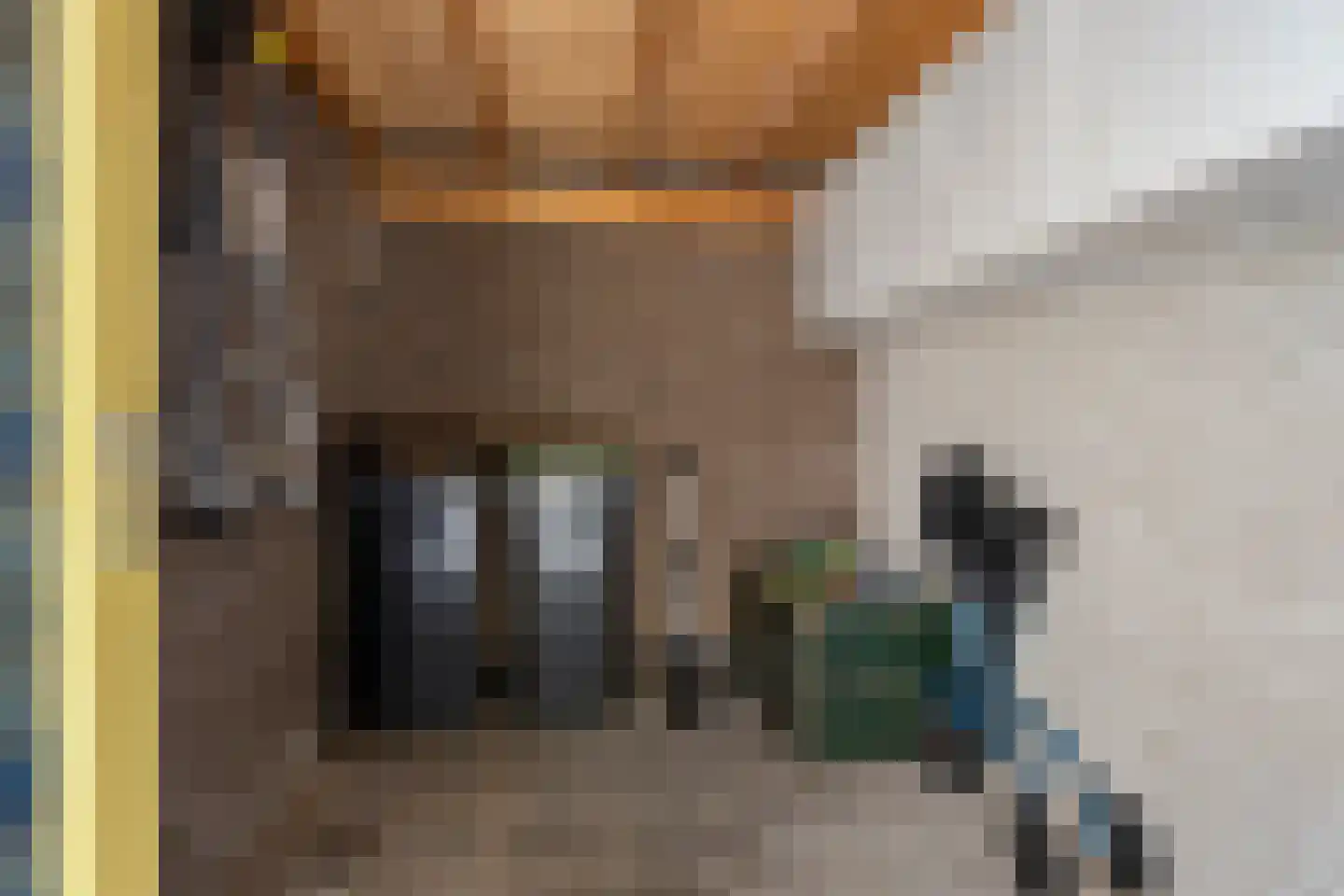 Drijvershof 32 Oss thumbnail 30