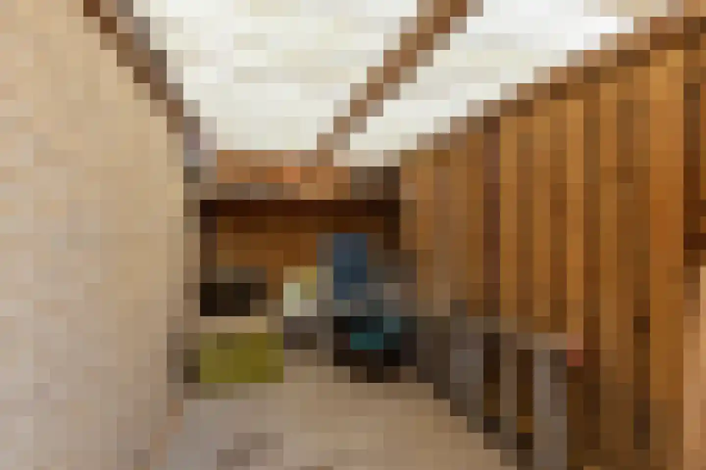 Drijvershof 32 Oss thumbnail 31