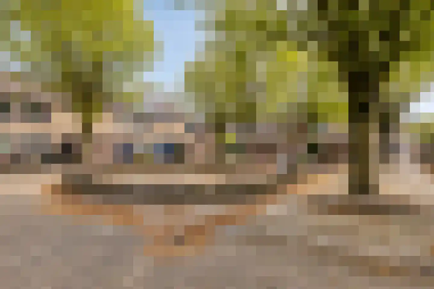 Drijvershof 32 Oss thumbnail 32