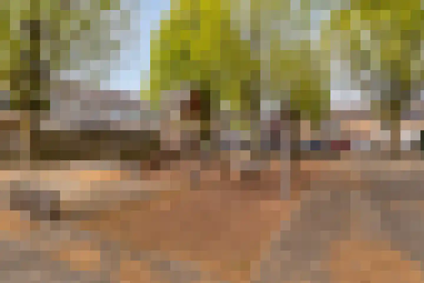 Drijvershof 32 Oss thumbnail 33