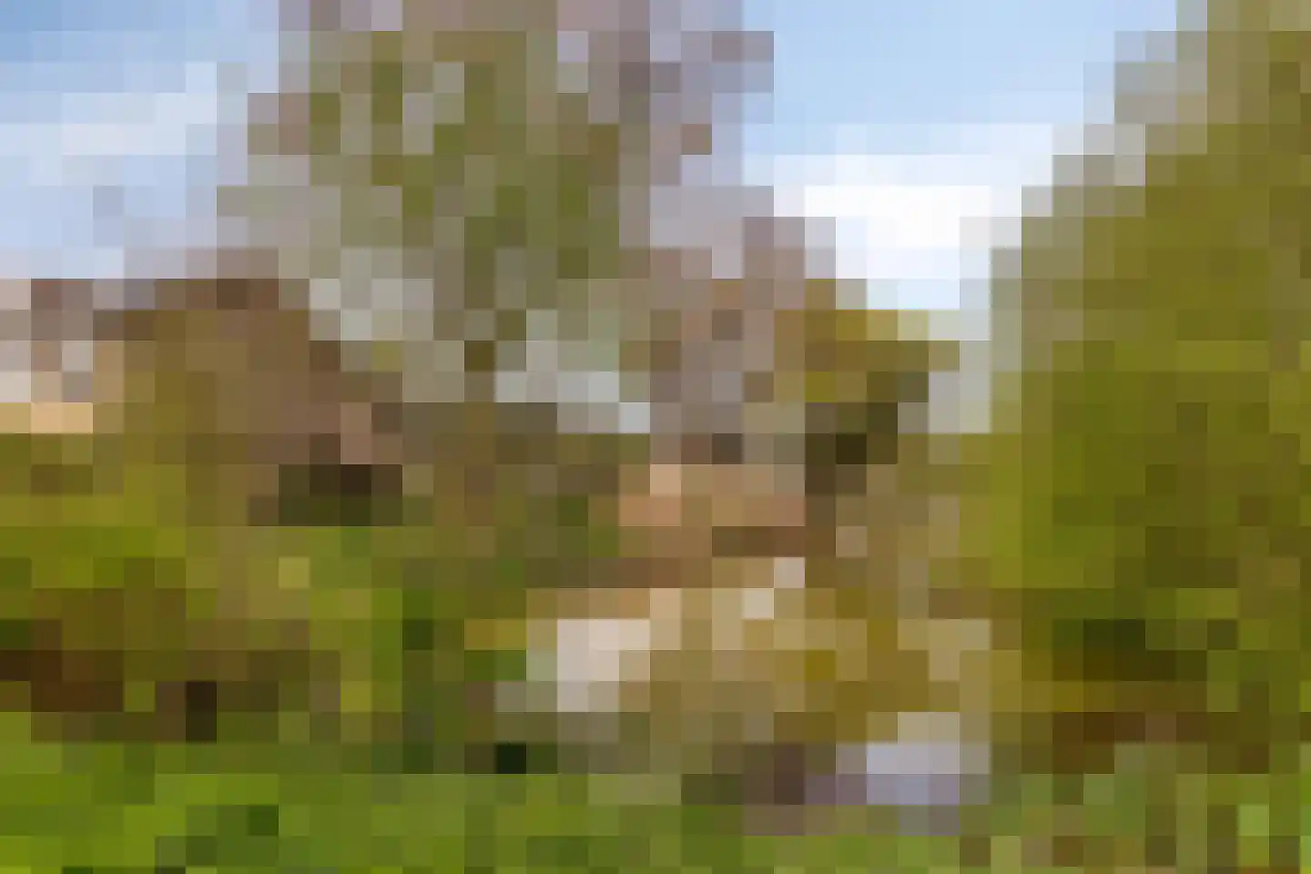 Drijvershof 32 Oss thumbnail 34