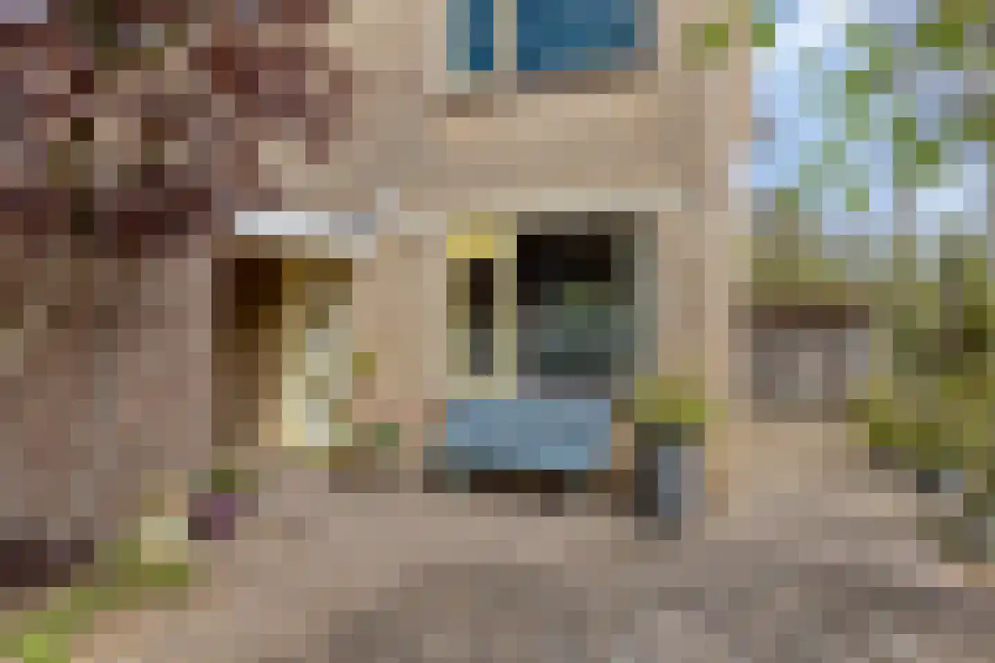 Drijvershof 32 Oss thumbnail 5