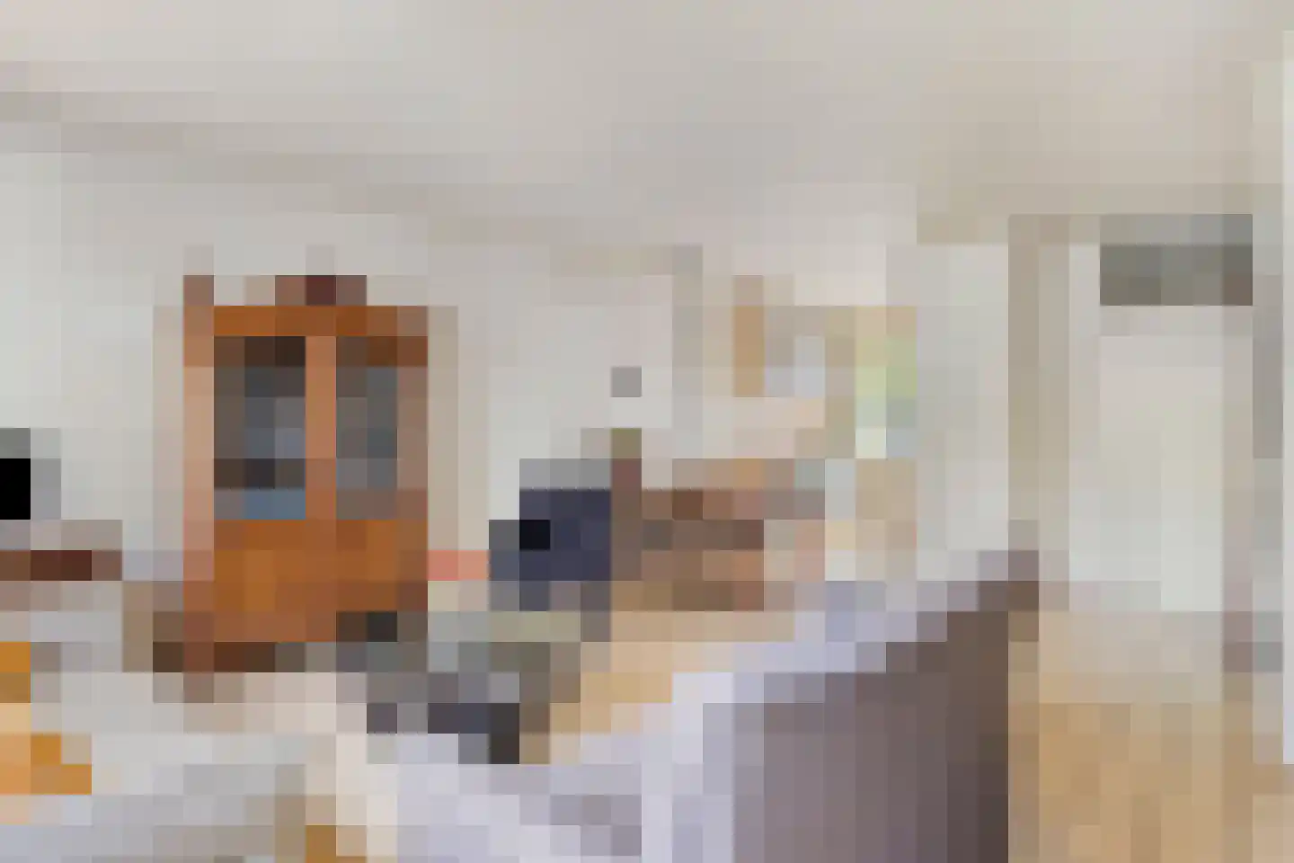 Drijvershof 32 Oss thumbnail 8