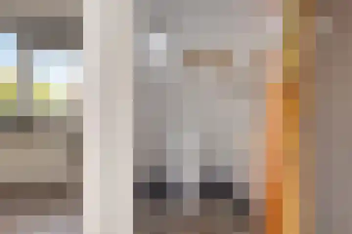Drijverspad 1 Nieuw-Amsterdam thumbnail 11