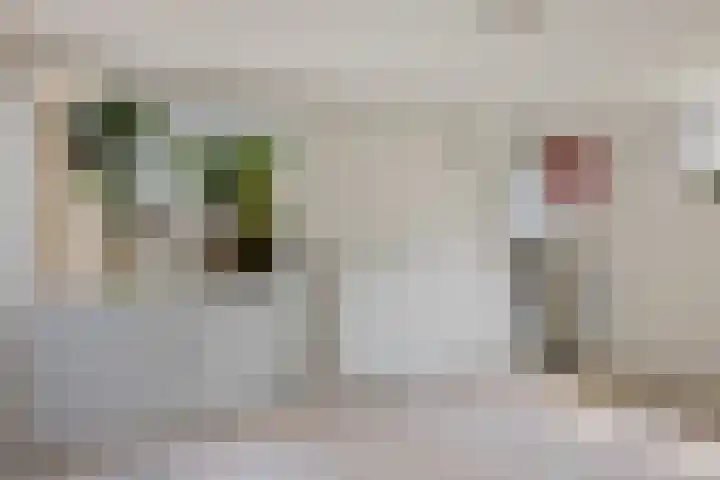 Drijverspad 1 Nieuw-Amsterdam thumbnail 14