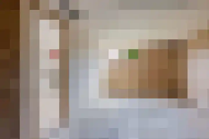 Drijverspad 1 Nieuw-Amsterdam thumbnail 16
