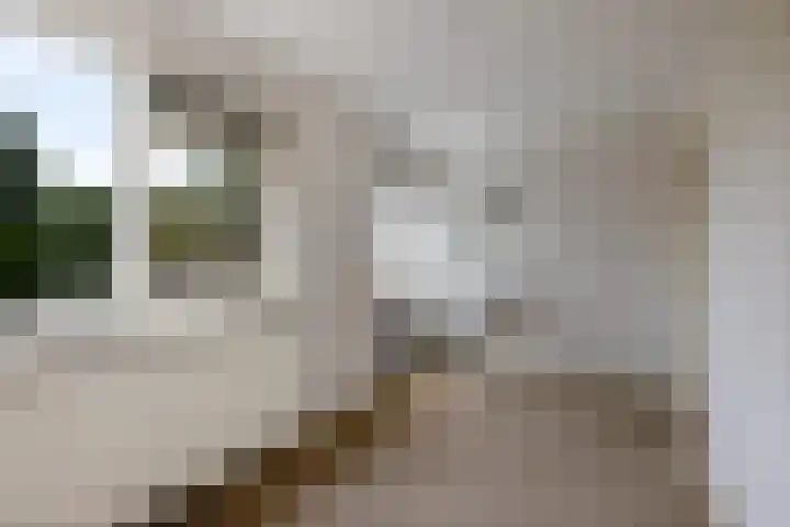 Drijverspad 1 Nieuw-Amsterdam thumbnail 23