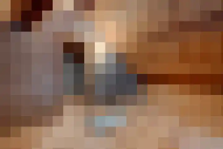 Drijverspad 1 Nieuw-Amsterdam thumbnail 32