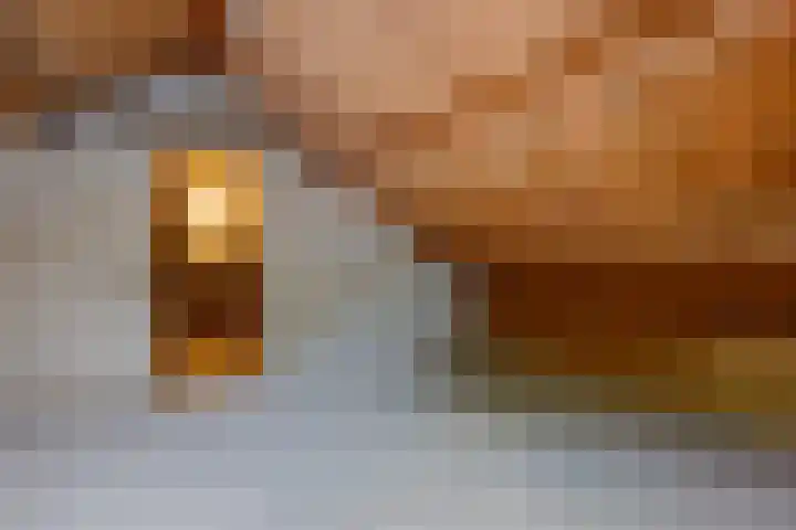 Drijverspad 1 Nieuw-Amsterdam thumbnail 34