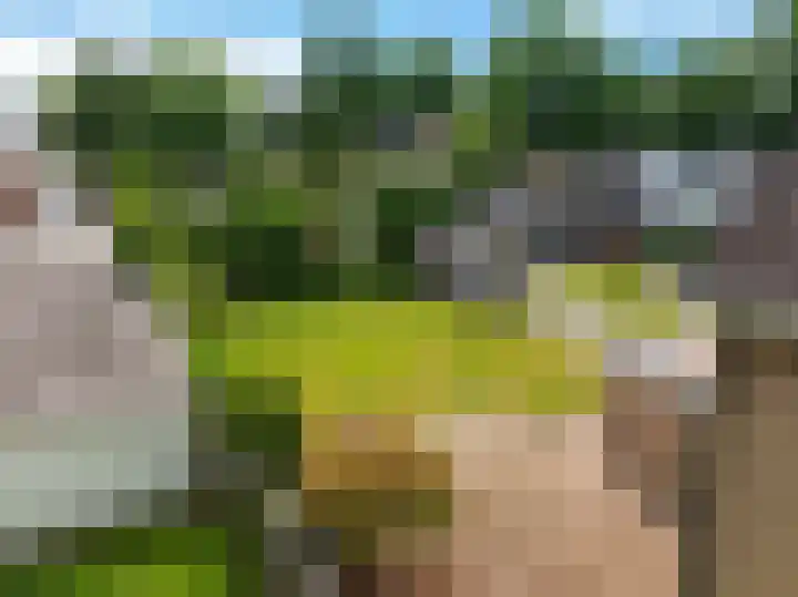 Drijverspad 1 Nieuw-Amsterdam thumbnail 37
