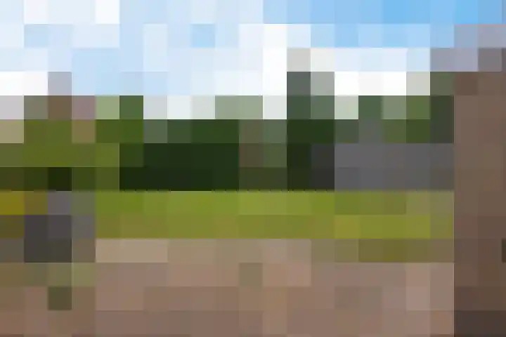 Drijverspad 1 Nieuw-Amsterdam thumbnail 38