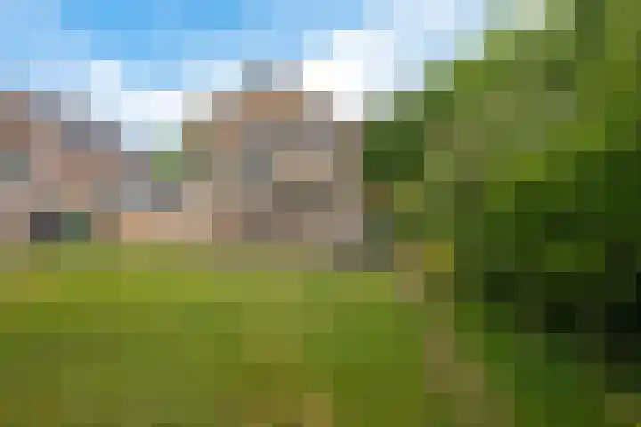 Drijverspad 1 Nieuw-Amsterdam thumbnail 39