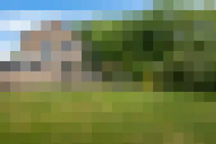 Drijverspad 1 Nieuw-Amsterdam thumbnail 40