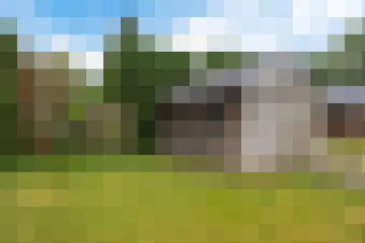 Drijverspad 1 Nieuw-Amsterdam thumbnail 41
