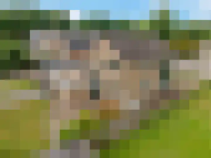 Drijverspad 1 Nieuw-Amsterdam thumbnail 45