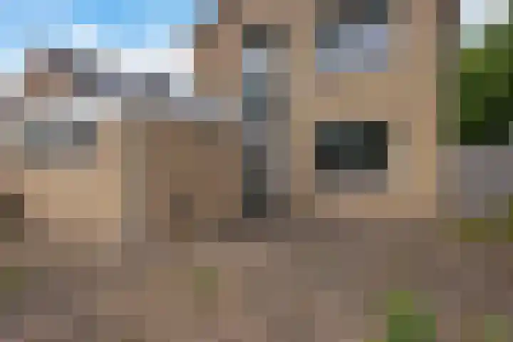 Drijverspad 1 Nieuw-Amsterdam thumbnail 47
