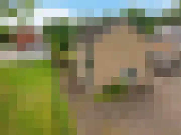 Drijverspad 1 Nieuw-Amsterdam thumbnail 48