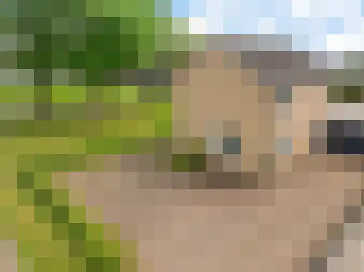 Drijverspad 1 Nieuw-Amsterdam thumbnail 49