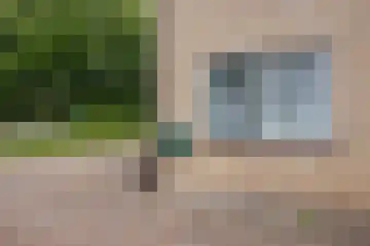 Drijverspad 1 Nieuw-Amsterdam thumbnail 55