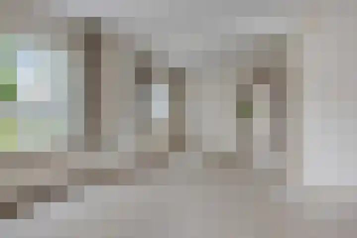 Drijverspad 1 Nieuw-Amsterdam thumbnail 8