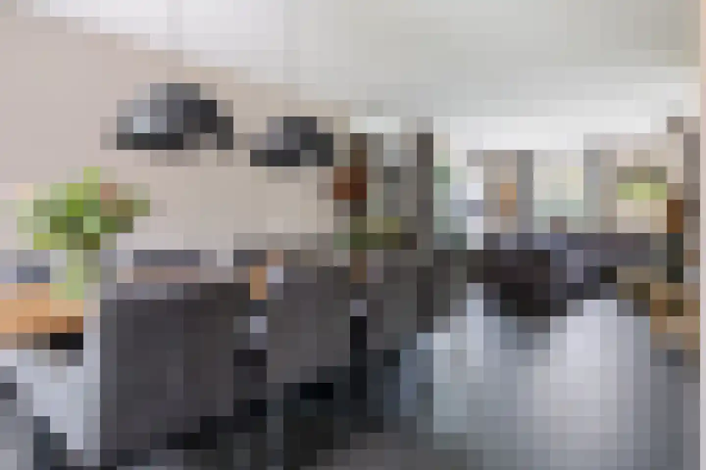 Drijverspad 7 Nieuw-Amsterdam thumbnail 11