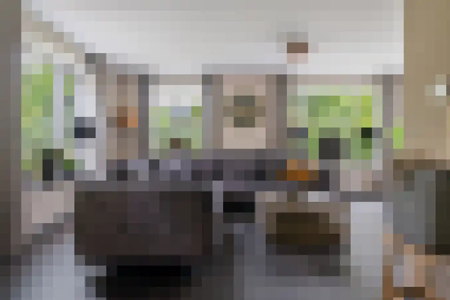 Drijverspad 7 Nieuw-Amsterdam thumbnail 6
