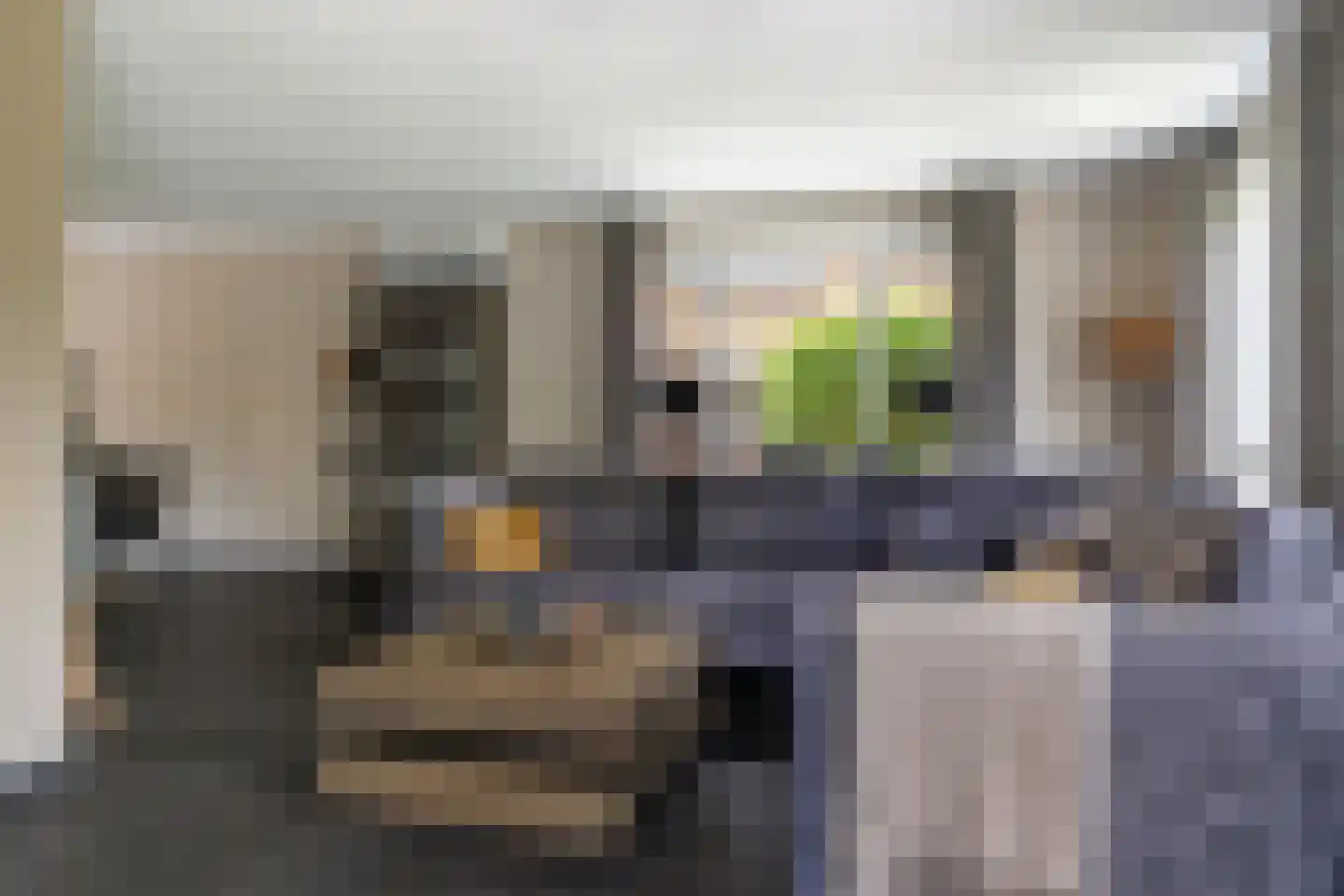 Drijverspad 7 Nieuw-Amsterdam thumbnail 9